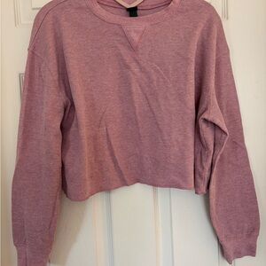 Wild Fable Mauve Cropped Long Sleeve Sweatshirt